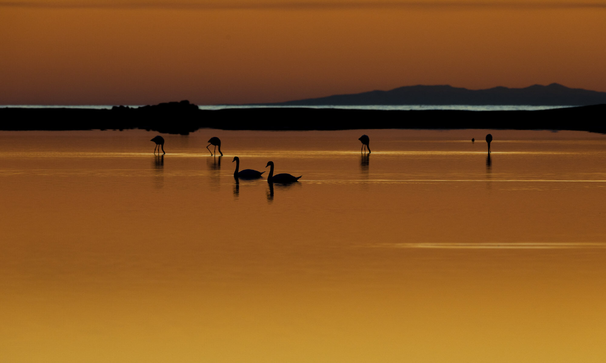 Ambiance Camargue