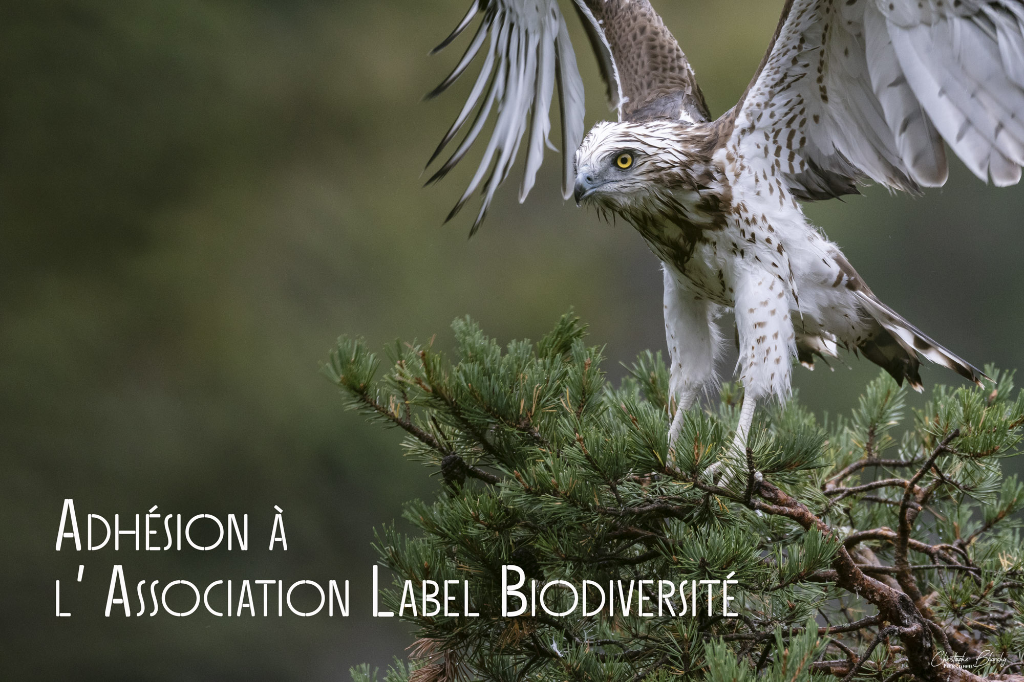 Adhésion ASSOCIATION Label Biodiversité
